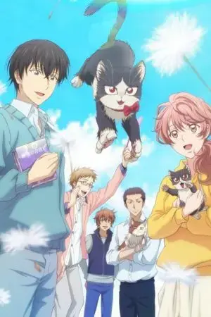 Bạn cùng phòng là mèo Bạn cùng phòng là mèo