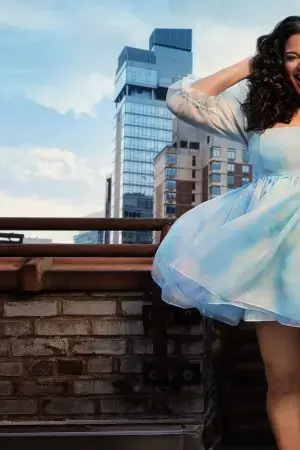 những con mòng biển